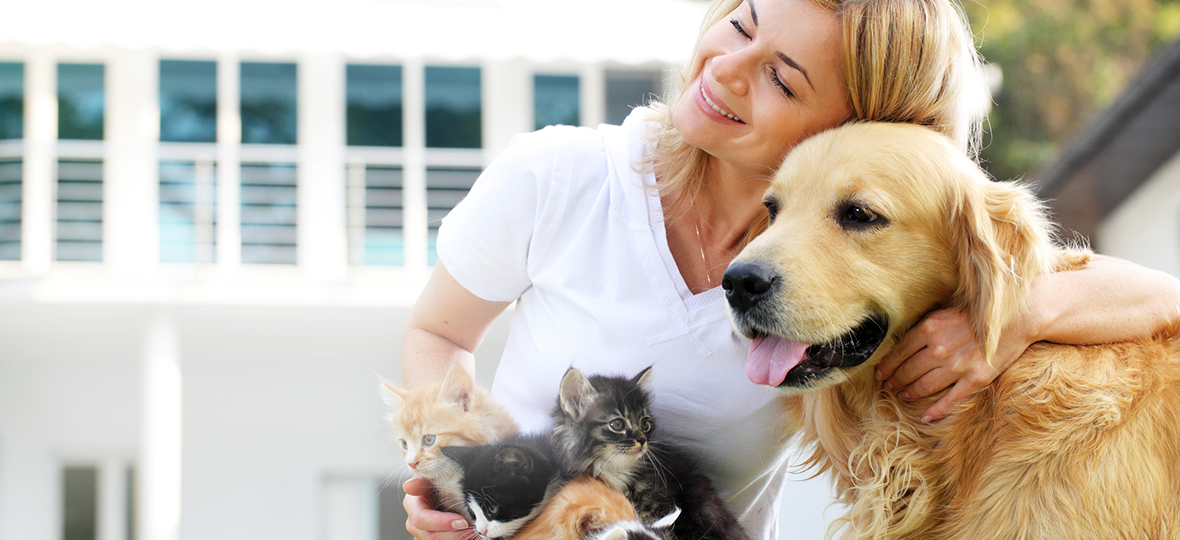 UN ESPACE D’ÉCHANGES EN LIGNE DÉDIÉ À VOS CHIENS/CHATS  : C’EST QUOI POUR VOUS ?